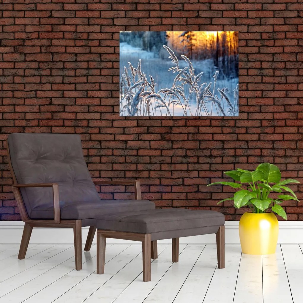 Tablou - Pajiște de iarnă (70x50 cm)