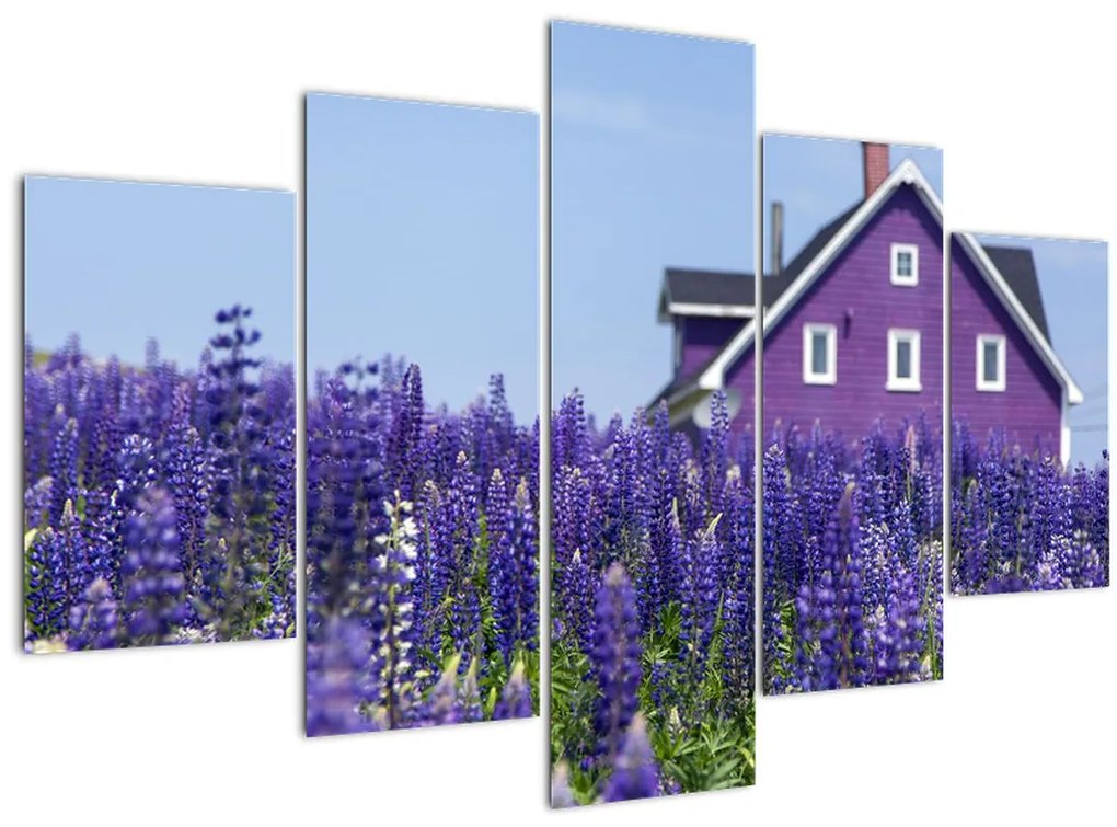Tablou cu câmp de lavanda (150x105 cm)