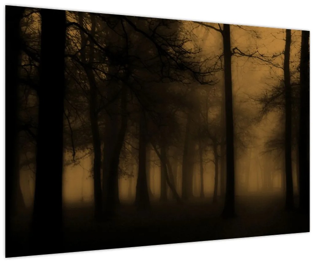 Tablou - Pădurea întunecată (90x60 cm)