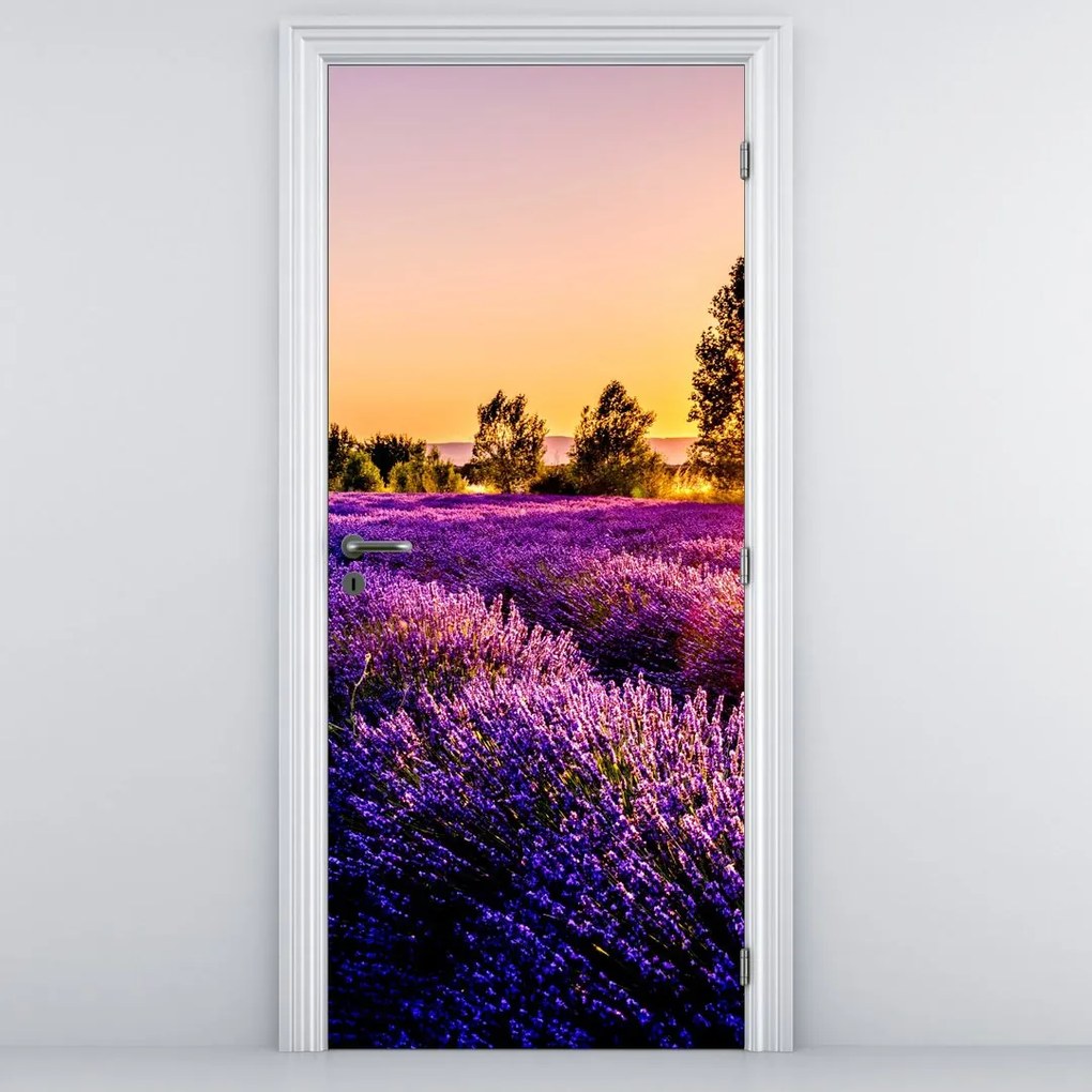 Fototapet pentru ușă - Câmp de lavandă (95x205cm)