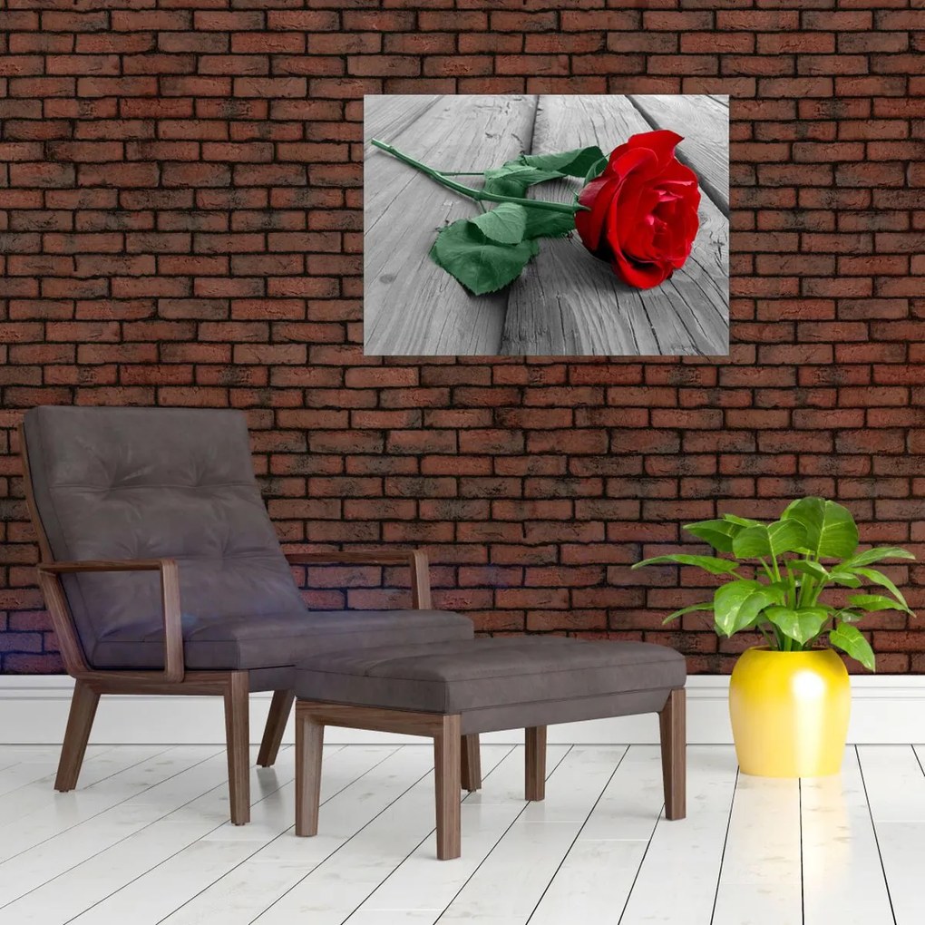 Tablou pe sticlă - Trandafir roșu cu tulpină verde (70x50 cm)