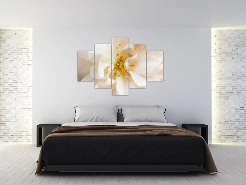 Tablou - Floare (150x105 cm)