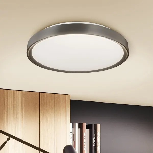 Brilagi-LED Corp de iluminat cu reglare a intensității FANCIA LED/48W/230V 3000-6500K Ø 39 cm argintiu + telecomandă