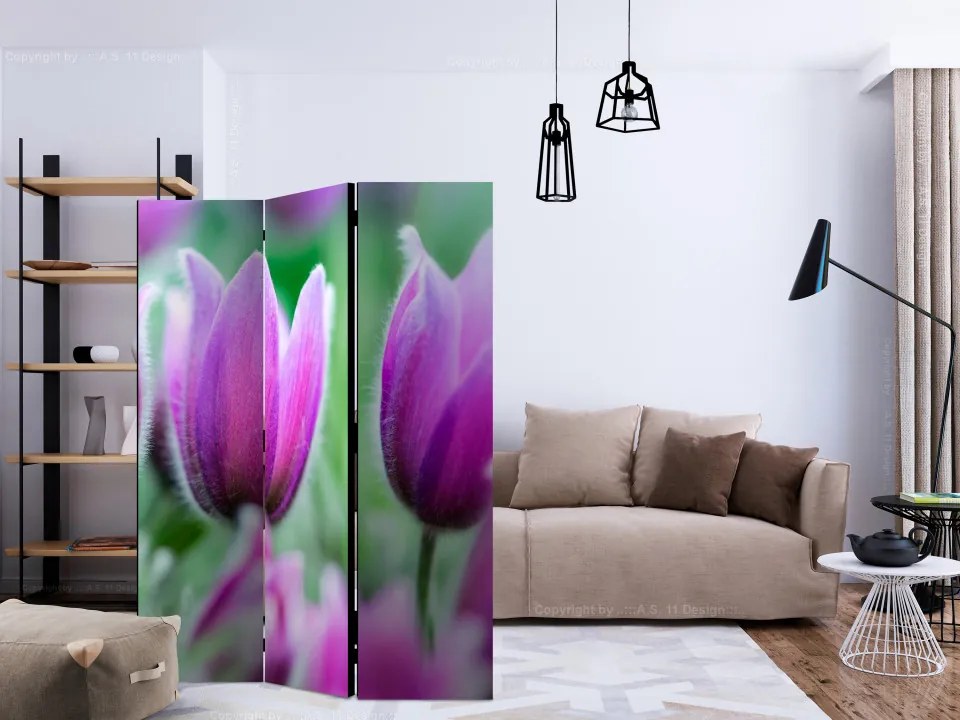 Paravan - Purple spring tulips [Room Dividers]