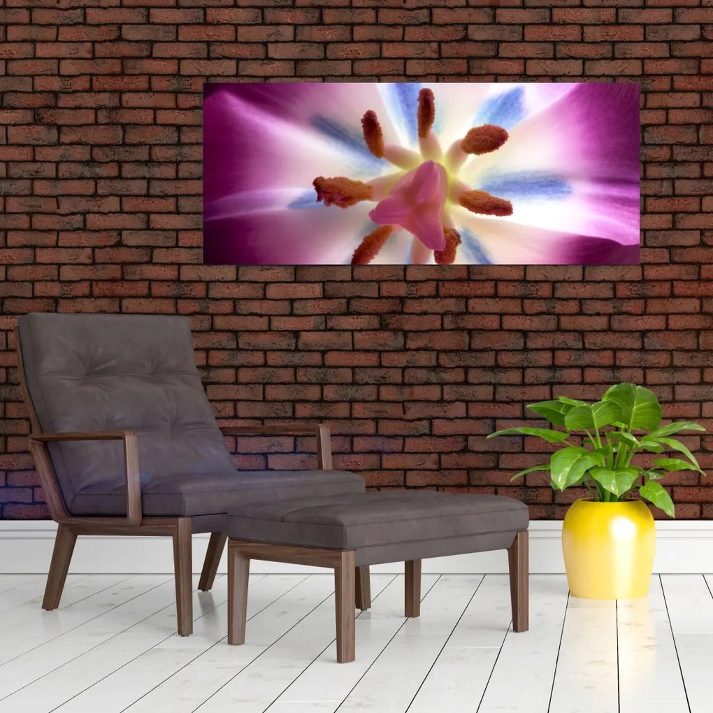 Tablou - Laleaua detailat (120x50 cm)
