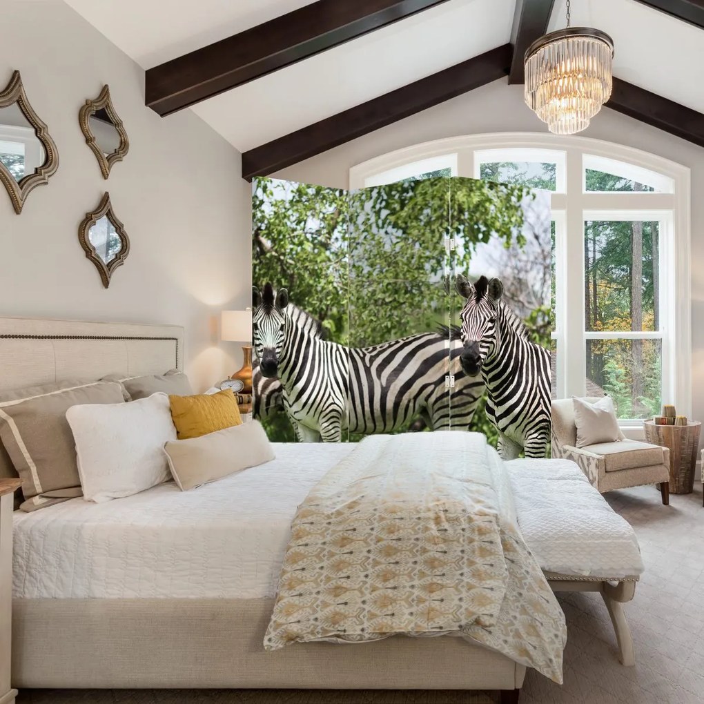 Paravan - Zebre (126x170 cm)