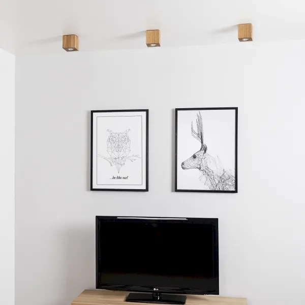 Plafonieră Spot-Light 2076174 WOODDREAM 1xGU10/6W/230V