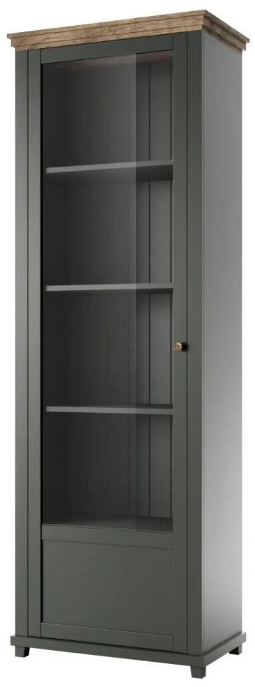 Vitrină Elvina Typ 05 (verde închis + stejar lefkas) (S). 1022379