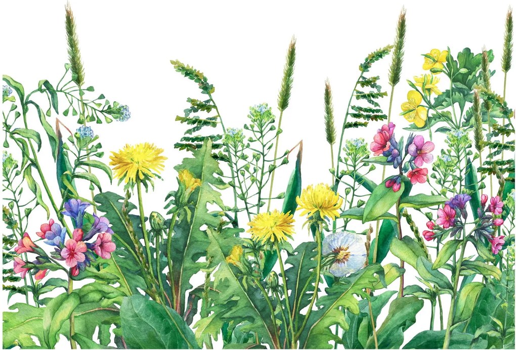 Tablou - Flori de pajiște pictate (70x50 cm)