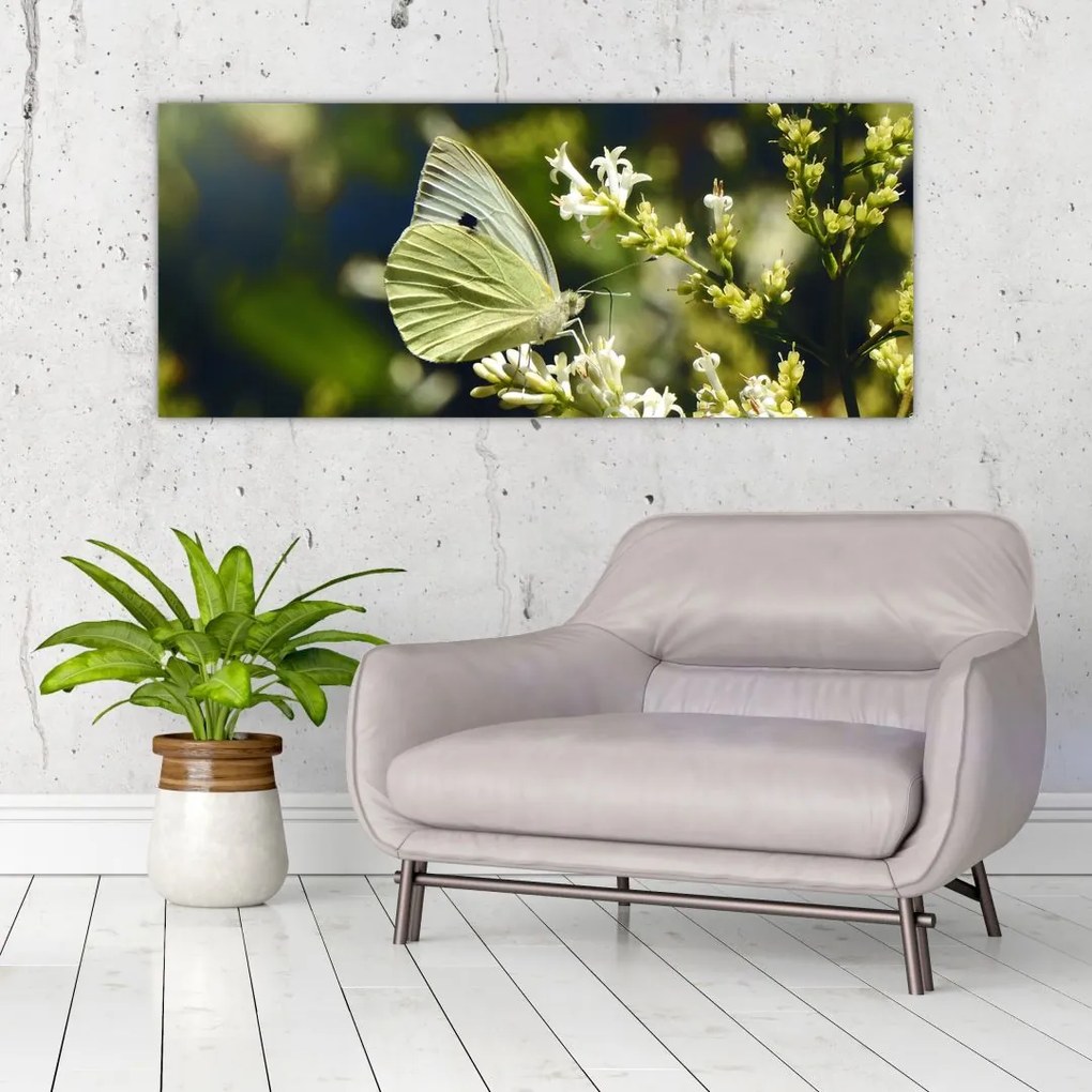 Tablou cu fluture (120x50 cm)