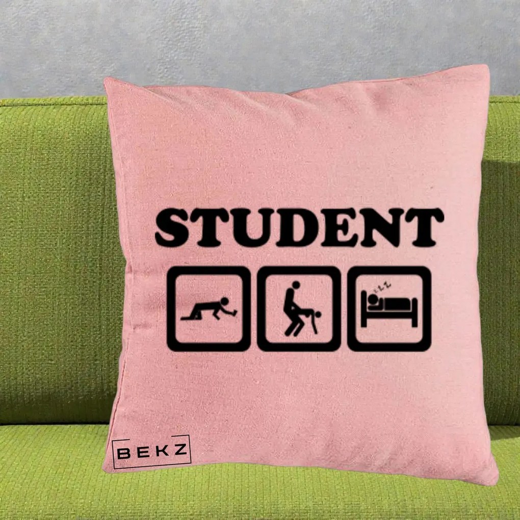 Perna Decorativa Student Life, 40x40 cm, Roz, Husa Detasabila, Perna Inclusa, BEKZ®