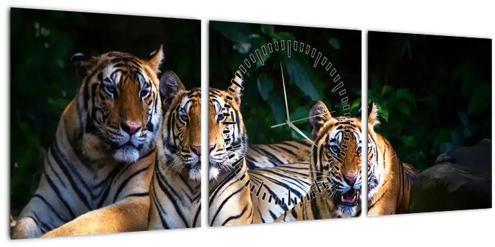 Tablou - Tigrii frați (cu ceas) (90x30 cm)