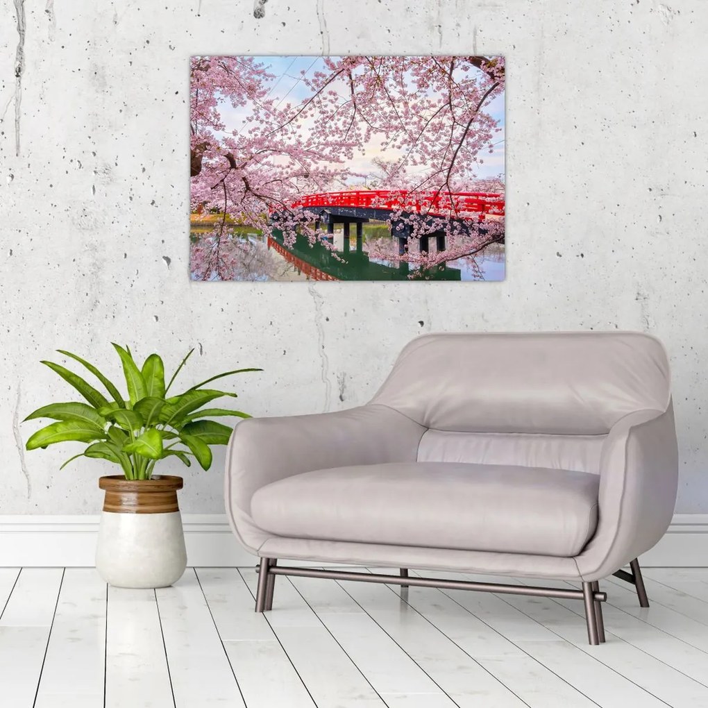 Tablou pe sticlă - Hirosaki, Japonia (70x50 cm)