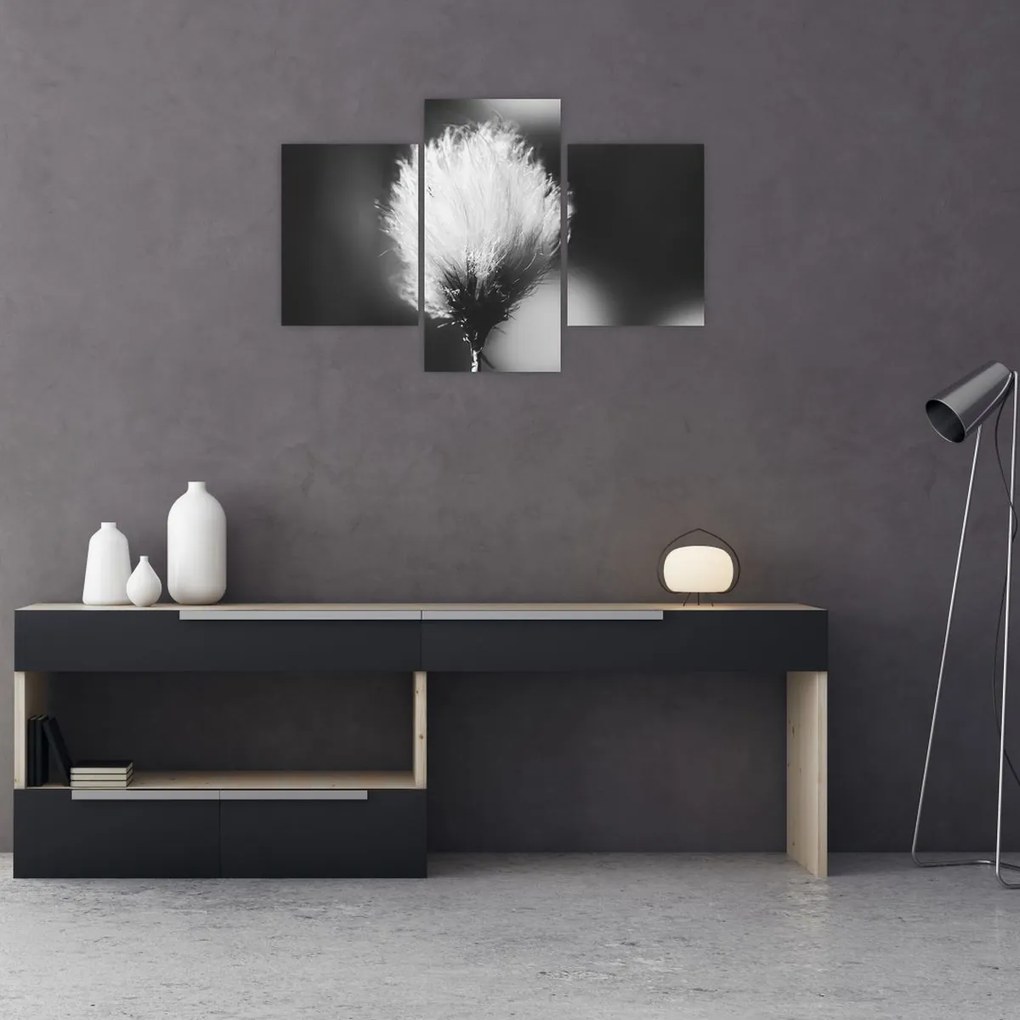 Tablou - Coțofană neagră și albă (90x60 cm)