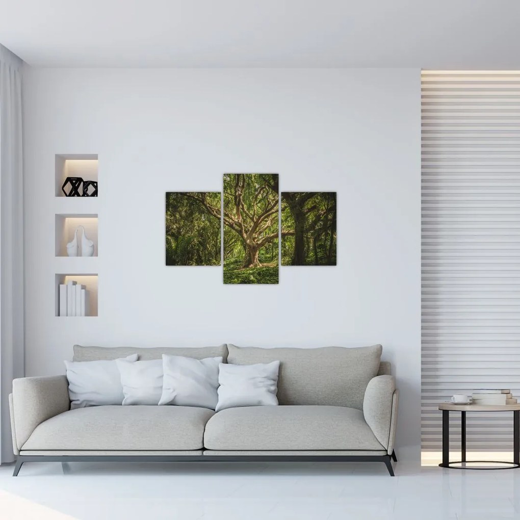 Tablou cu copaci (90x60 cm)
