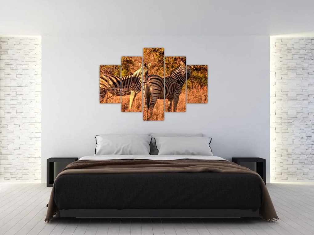Tablou cu zebre (150x105 cm)