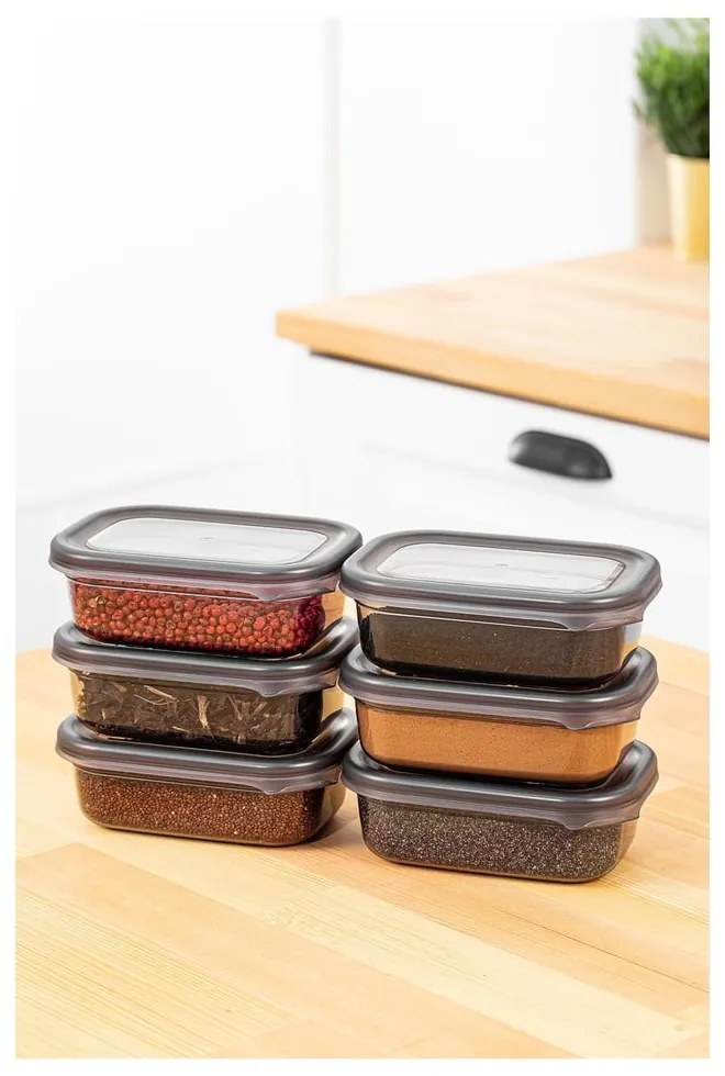 Recipiente 6 buc. pentru alimente Fresco – Hermia