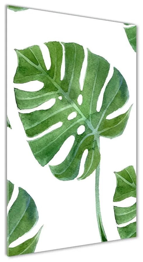 Tablou din Sticlă Monstera