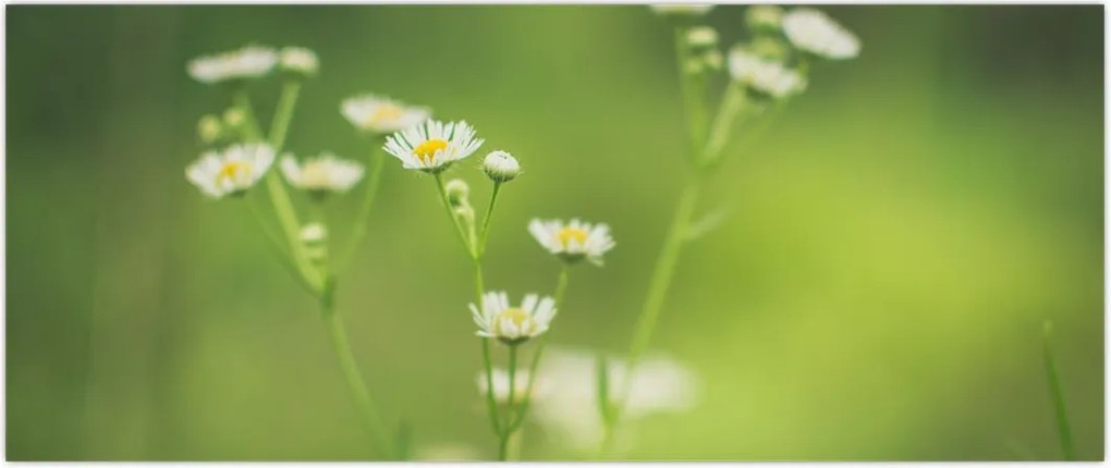 Tablou - Margarete (120x50 cm)