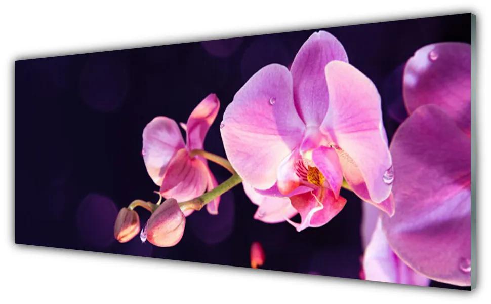 Tablou pe sticla Flori Floral Roz Violet