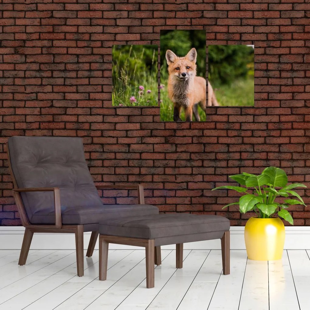 Tablou cu vulpe (90x60 cm)
