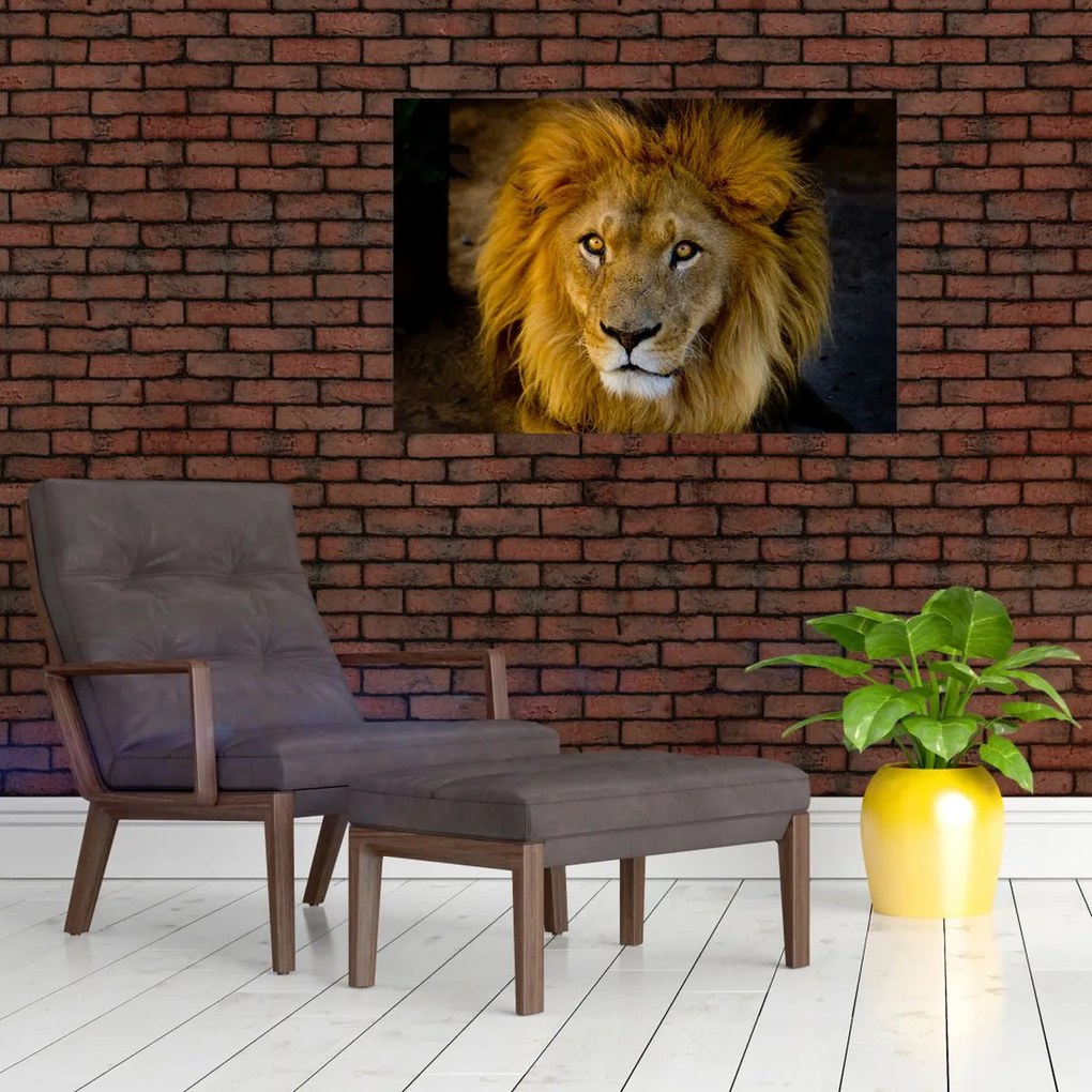 Tablou - Portret de leu (90x60 cm)