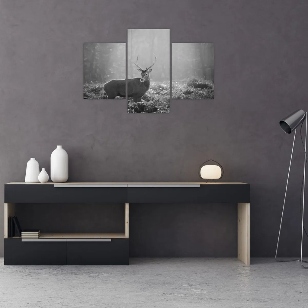Tablou - Căprioare in pădure,alb-negru (90x60 cm)