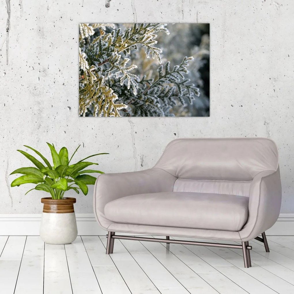 Tablou - Detaliu ramură (70x50 cm)