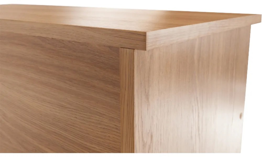 Pantofar (Dulap pentru pantofi) Fembi-03 (natural). 788871
