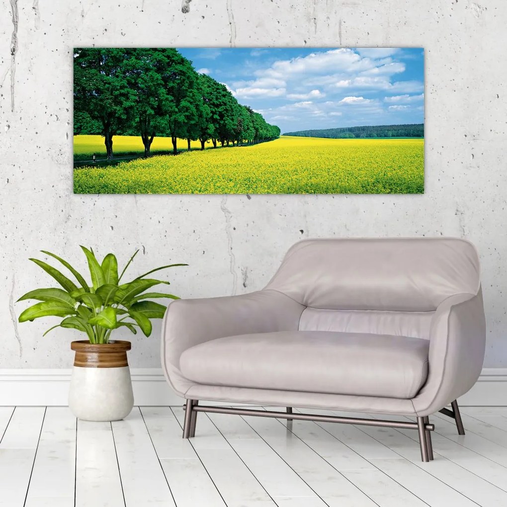 Tablou - Câmp cu alei (120x50 cm)