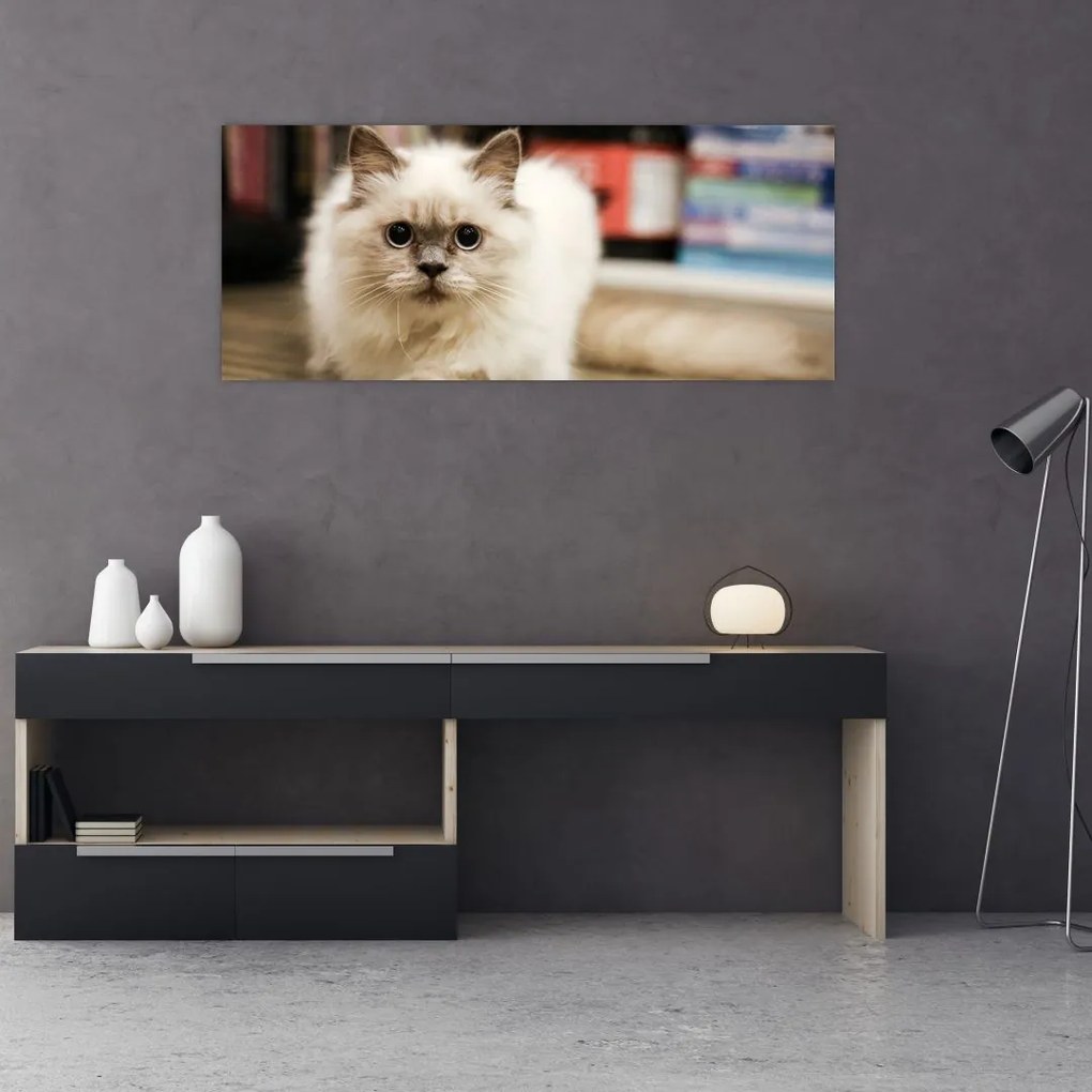 Tablou cu pisica albăr (120x50 cm)