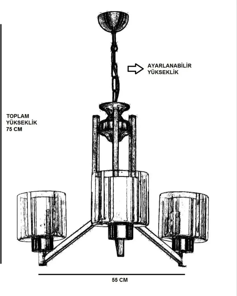 Lustra auriu-negru, homs ro,40034