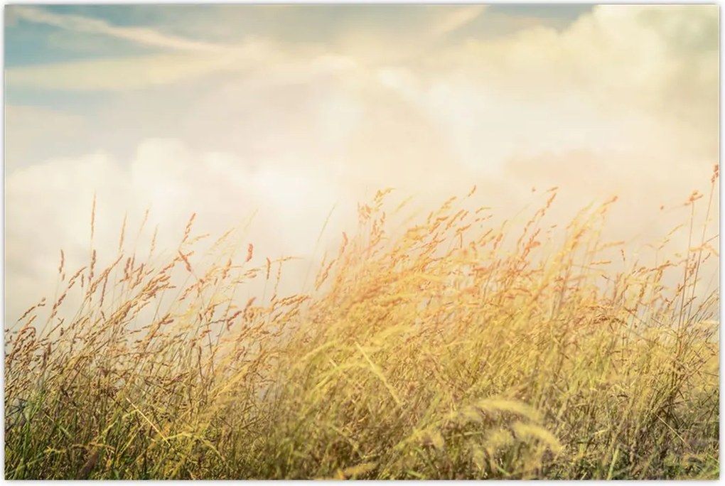 Tablou - Câmp toamna (90x60 cm)