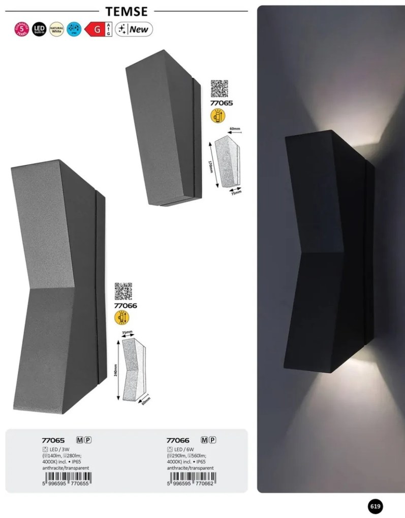 Aplica de perete exterior IP65 LED Temse