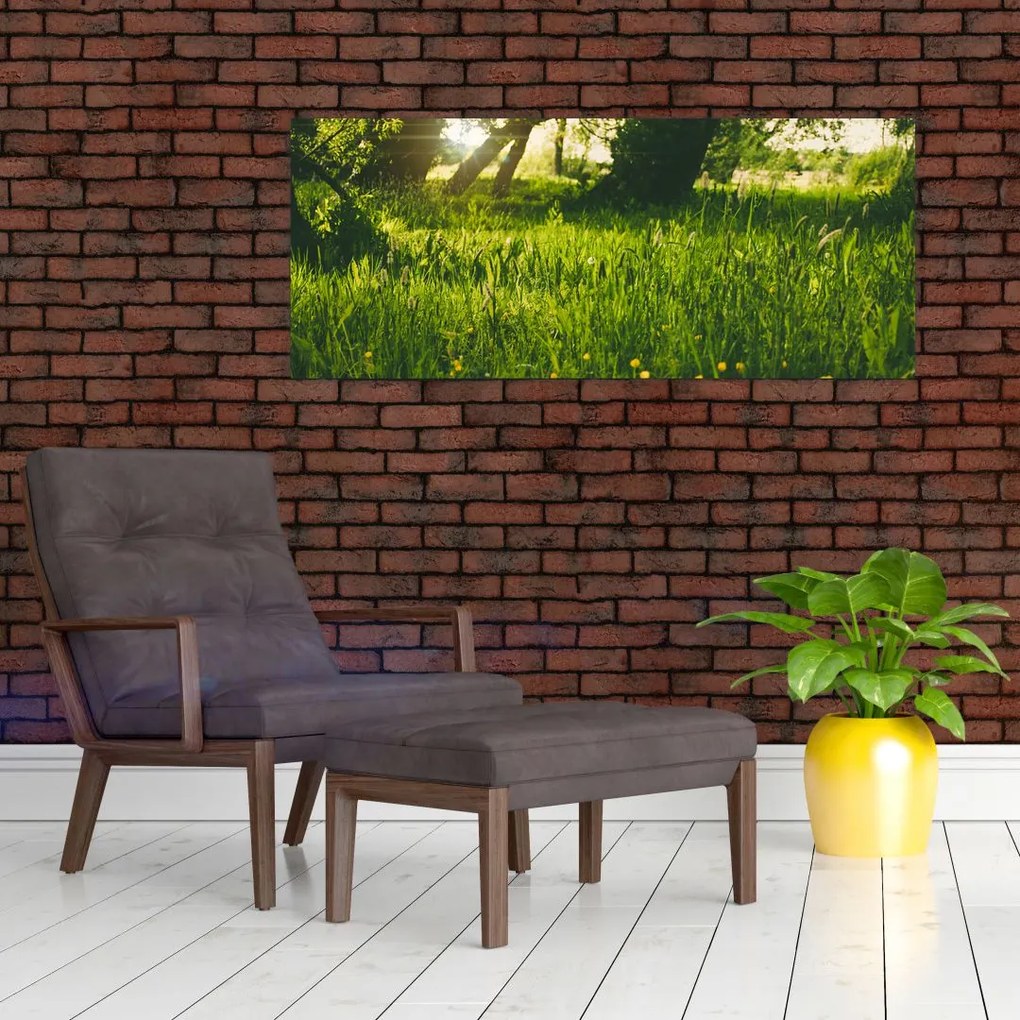 Tablou cu natura - lunca (120x50 cm)