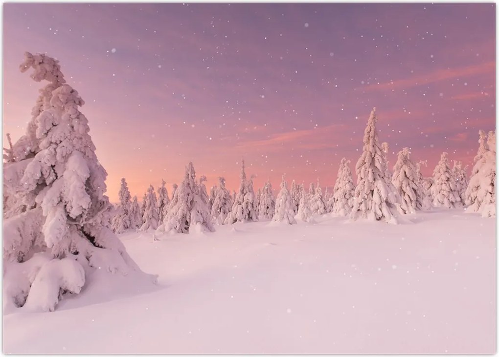 Tablou - Copaci sub așternut de zăpadă (70x50 cm)