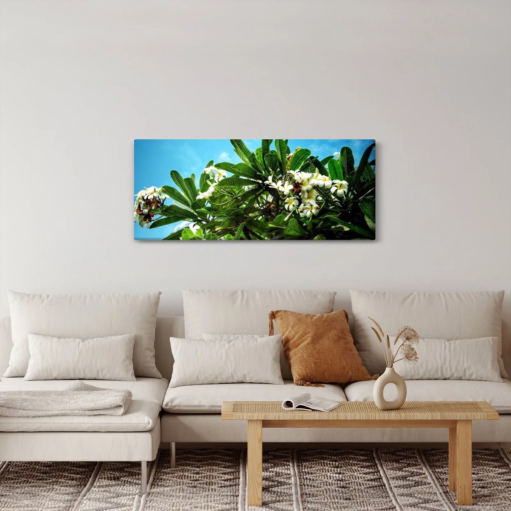 Tablou - Plumeria (120x50 cm)