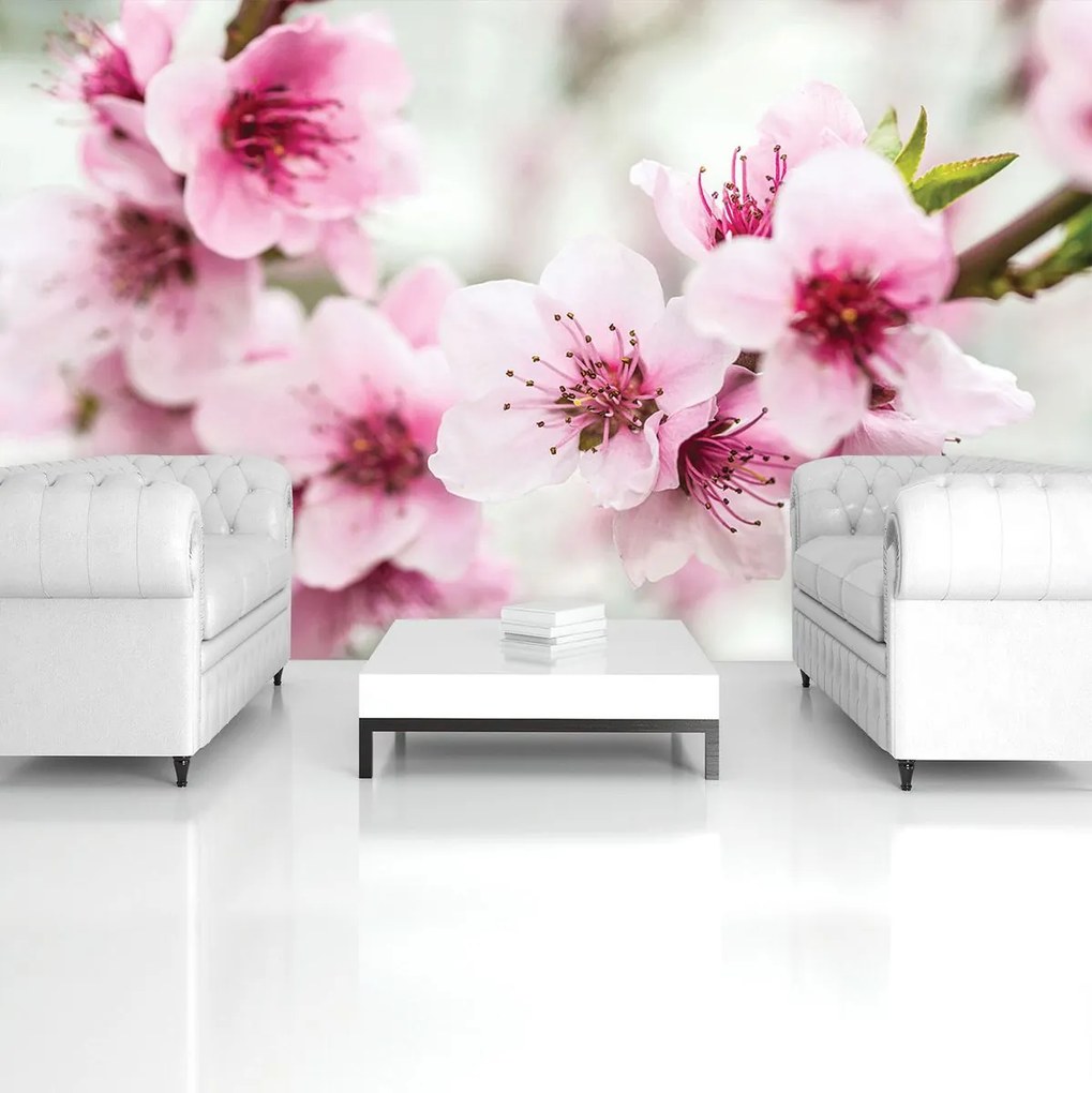 Fototapet - Flori (152,5x104 cm)