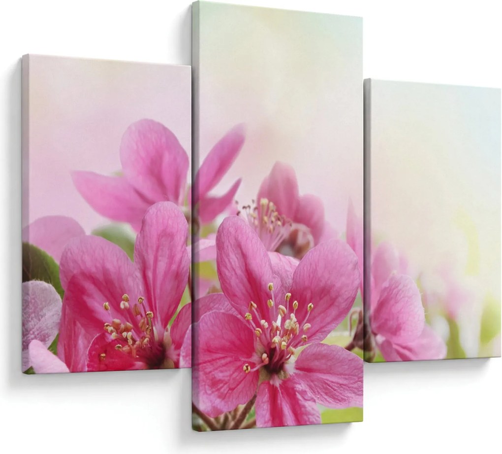 Tablou - Flori roz (90x60 cm)