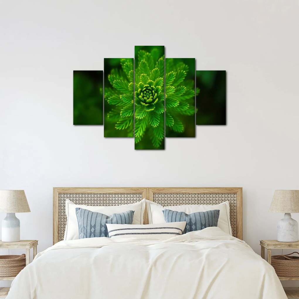 Tablou cu coniferi (150x105 cm)