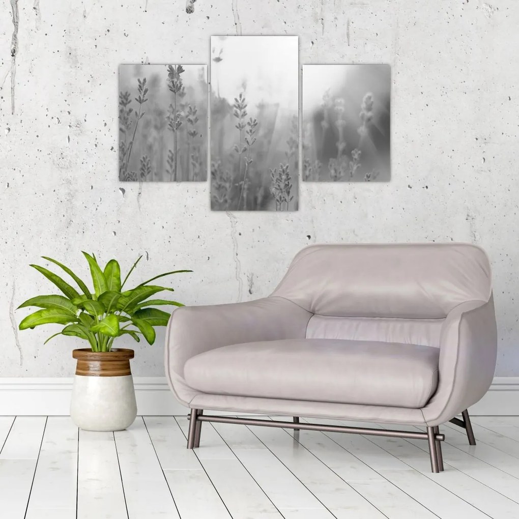 Tablou - Lavanda (90x60 cm)