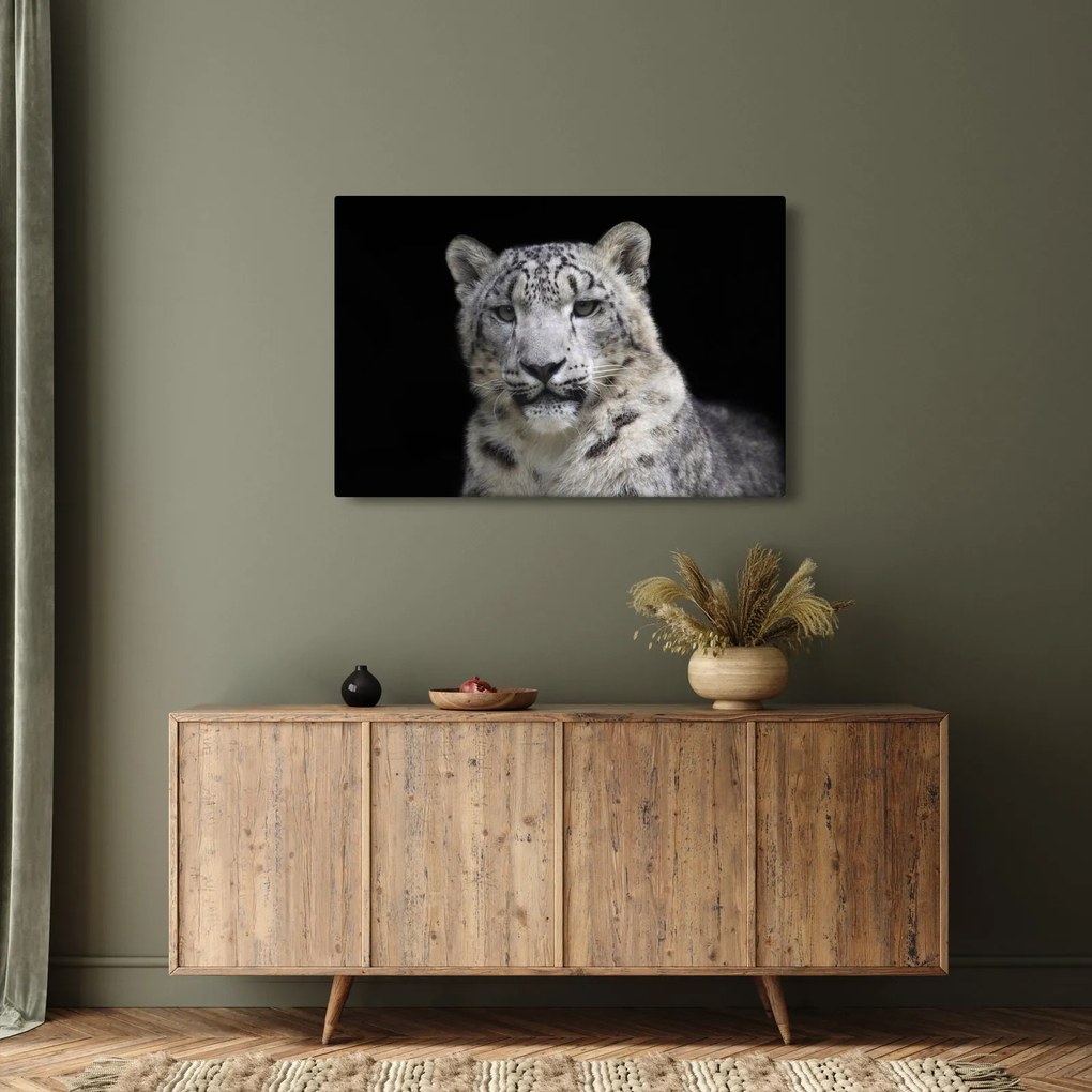 Tablou - Snow Leopard (90x60 cm)