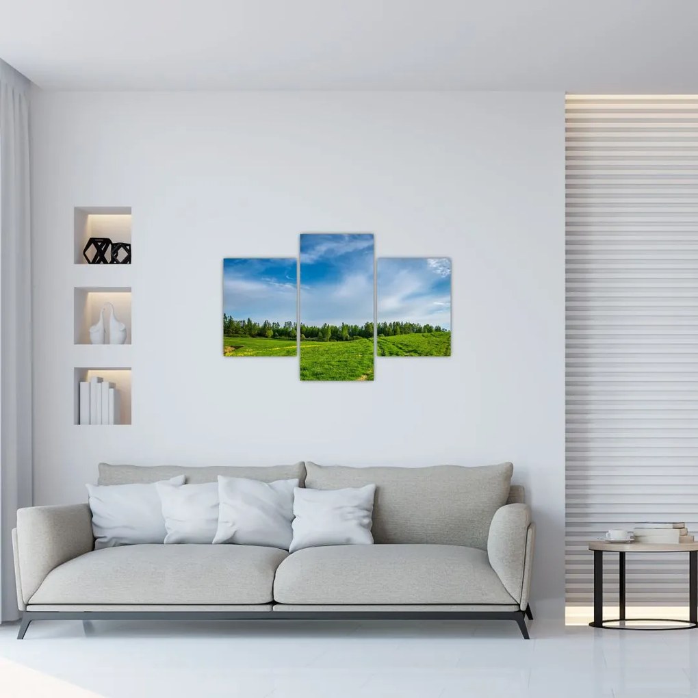 Tablou cu luncă (90x60 cm)