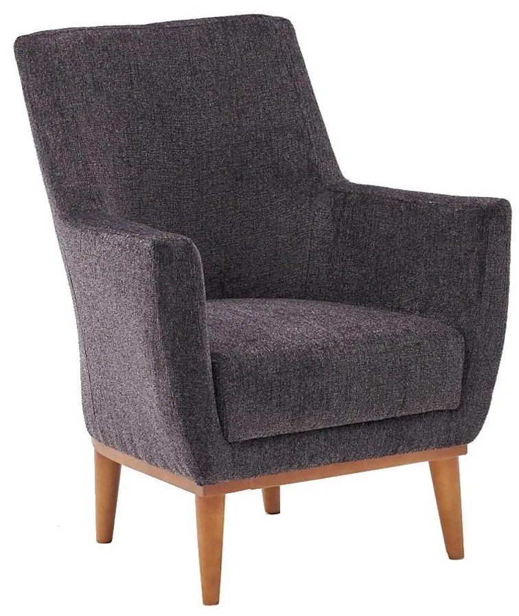 Fotoliu NUPI antracit