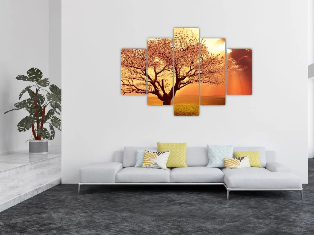 Tablou cu razele lui Dumnezeu (150x105 cm)