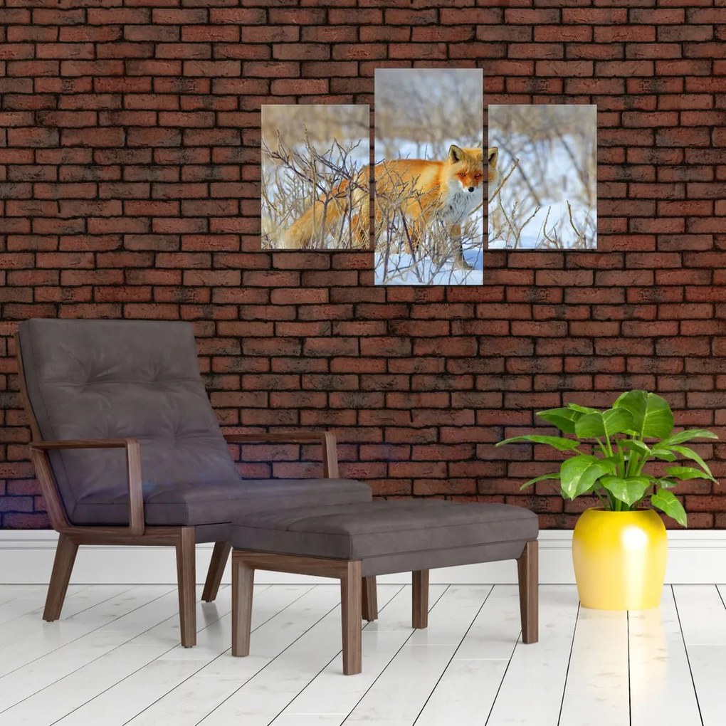 Tablou - Vulpe (90x60 cm)