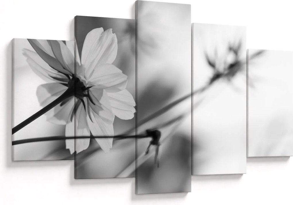 Tablou - Flori alb-negru (150x105 cm)