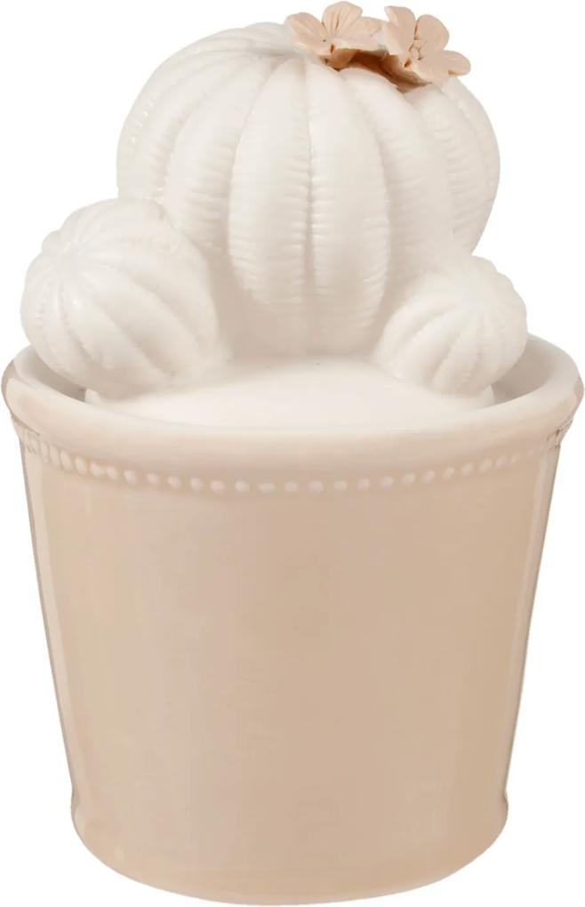 Borcan ceramic decorativ condimente alb bej Cactus 9x14 cm