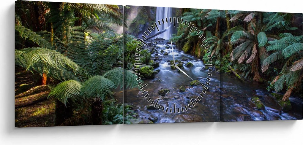 Tablou cu pădurea ploilor din Austalia (cu ceas) (90x30 cm)