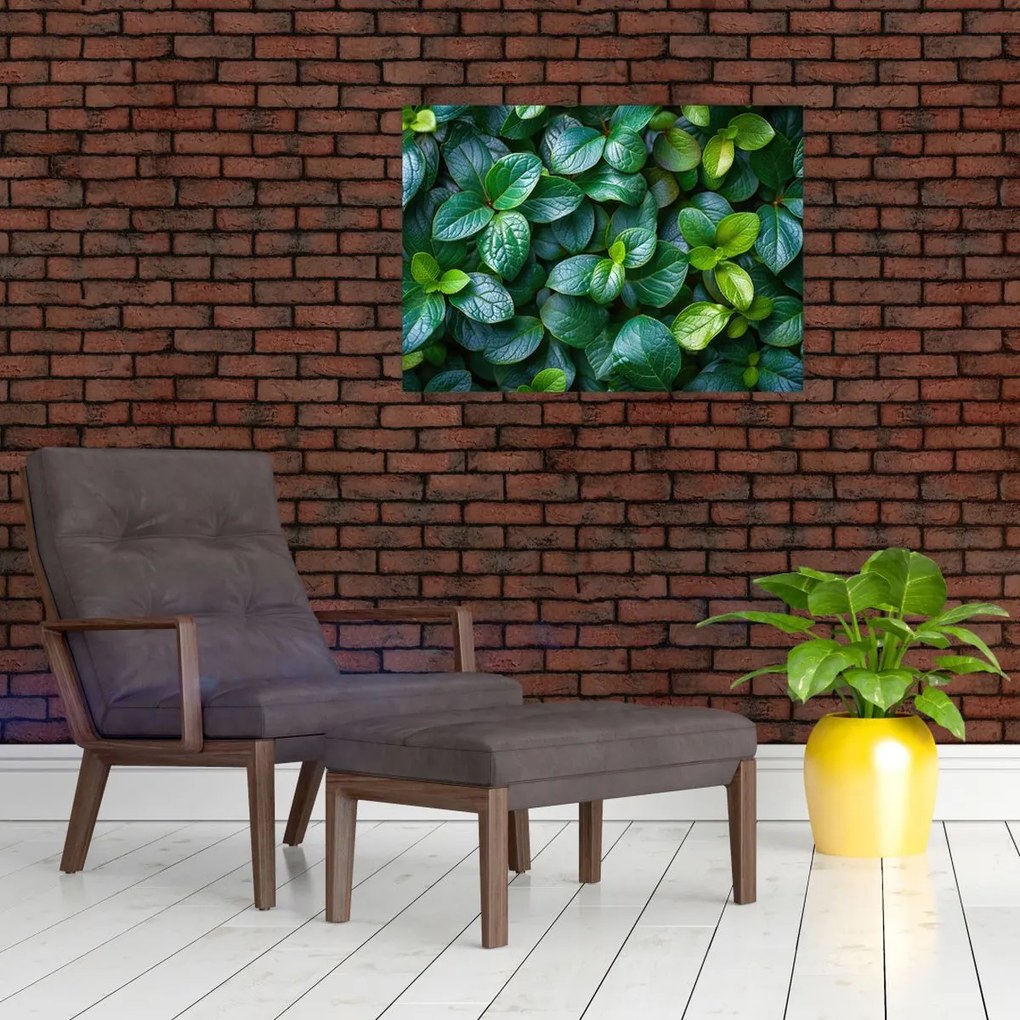 Tablou - Plante verzi (70x50 cm)